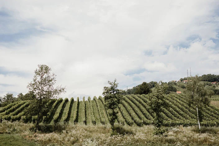 Tri lučke, Krško — poročna zgodba N&M, fotografija 8